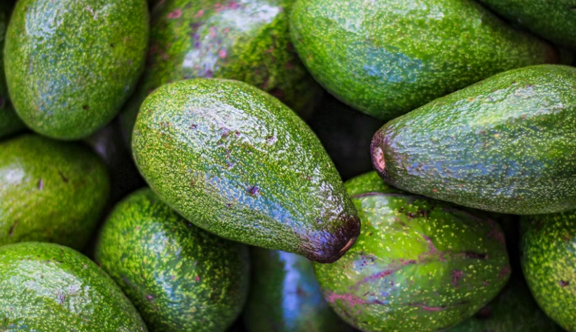 아보카도