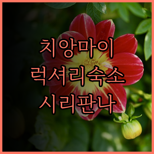 시리판나 빌라 리조트 앤드 스파.. 