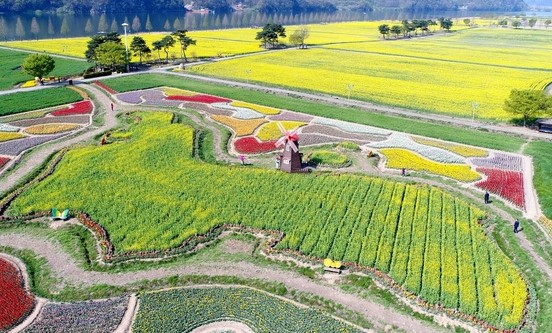 창녕에 위치한 남지유채꽃밭