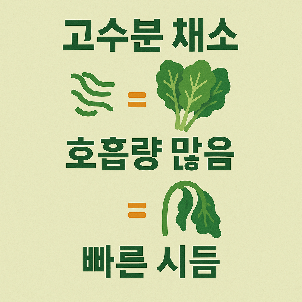 수분이 많은 채소는 ‘호흡량이 많아’ 빨리 시든다
