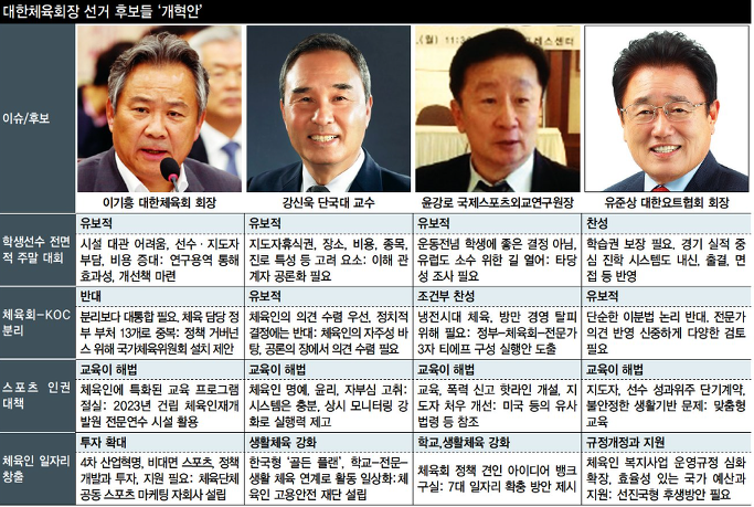 대한체육회장후보