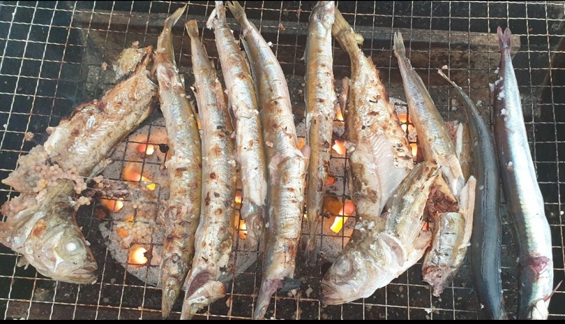 6시내고향-속초항-양미리-금성호-도루묵-택배