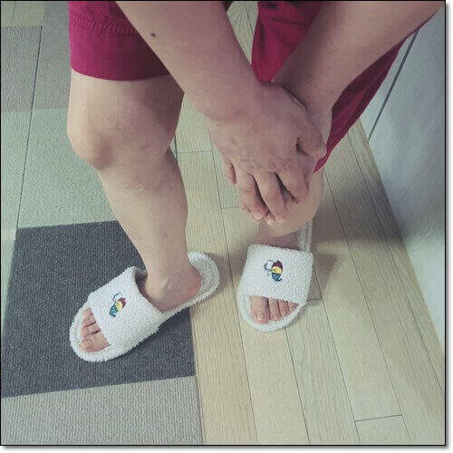 가자추출물 효능 관절 건강