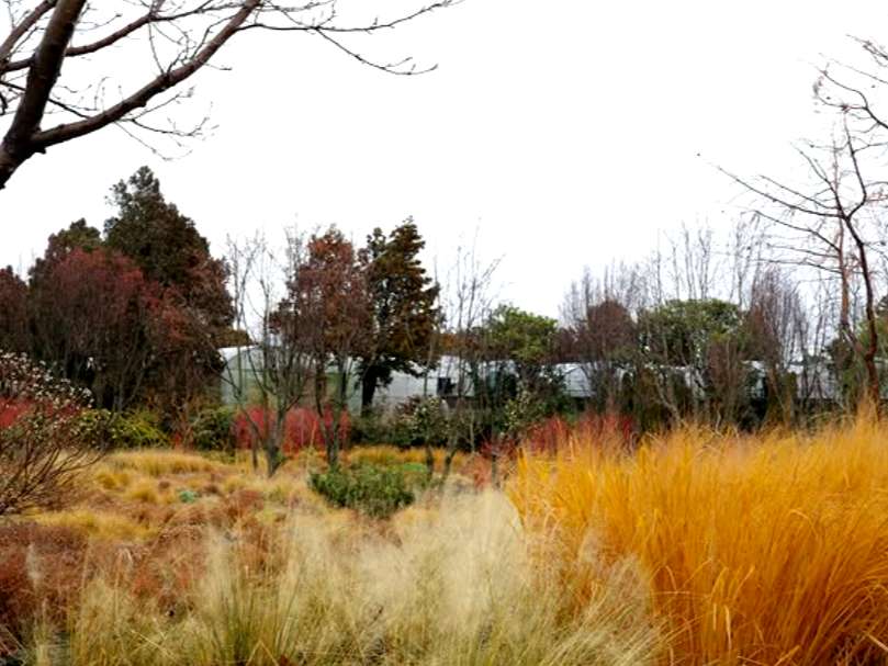 특색있고 아름다운 민간 정원 30선 추천 여행 - 09. 제주 베케정원