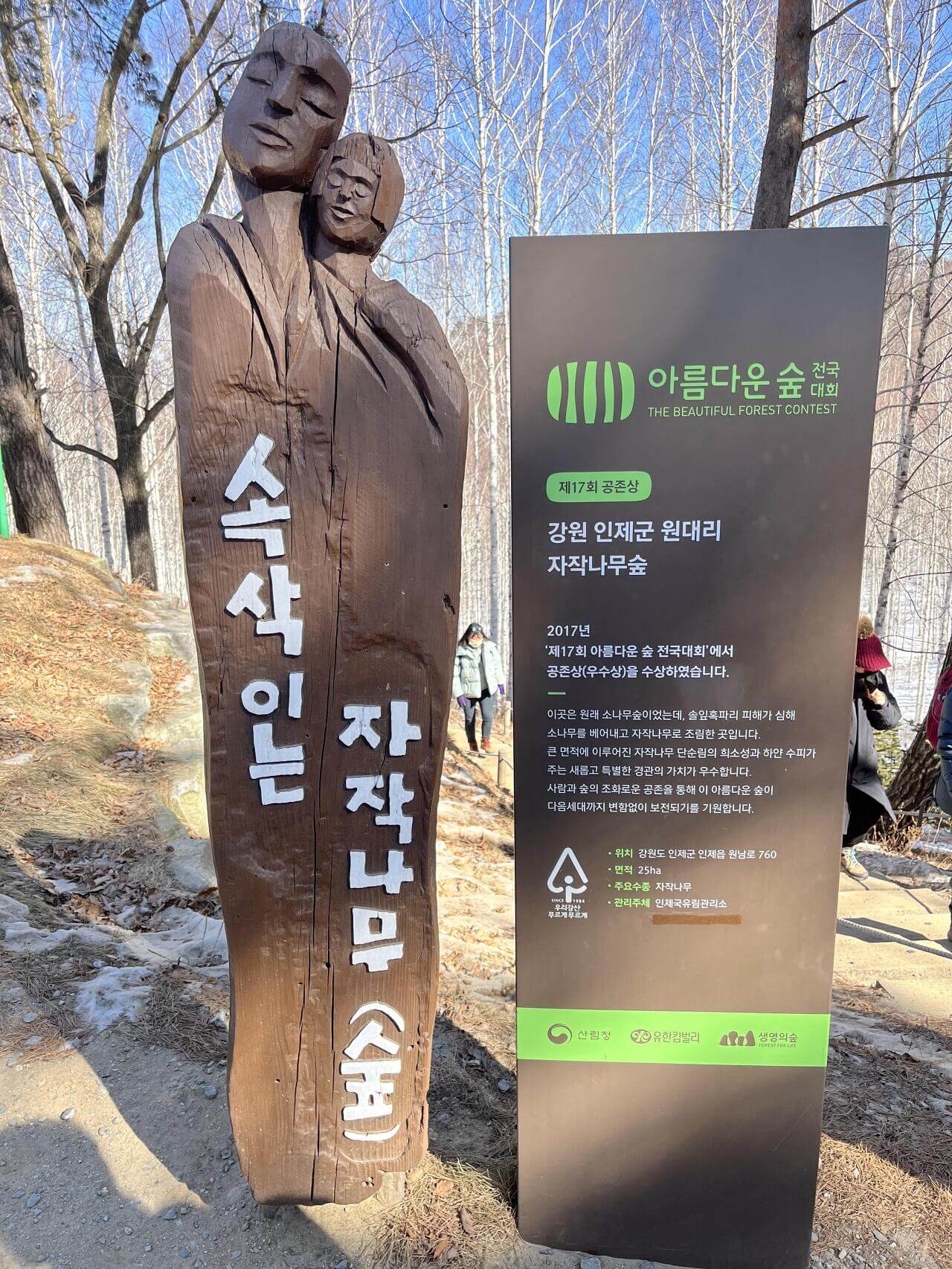 인제-자작나무숲 간판