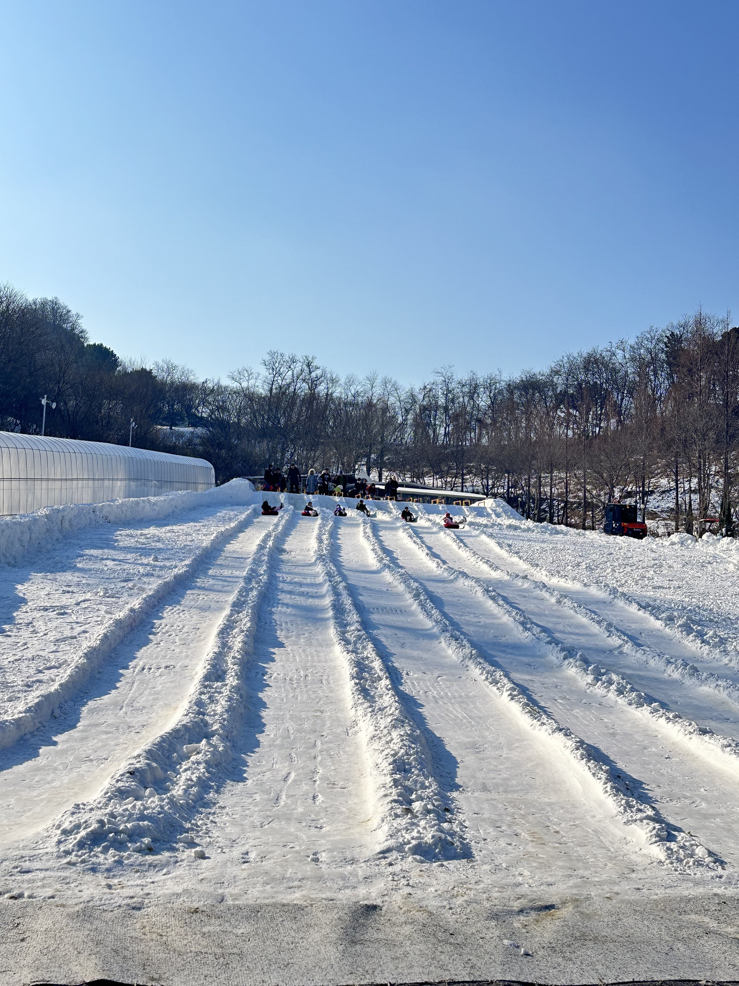 [충남 논산]사계절 내내 머물고 싶은 곳, 피나클랜드 수목원 이야기