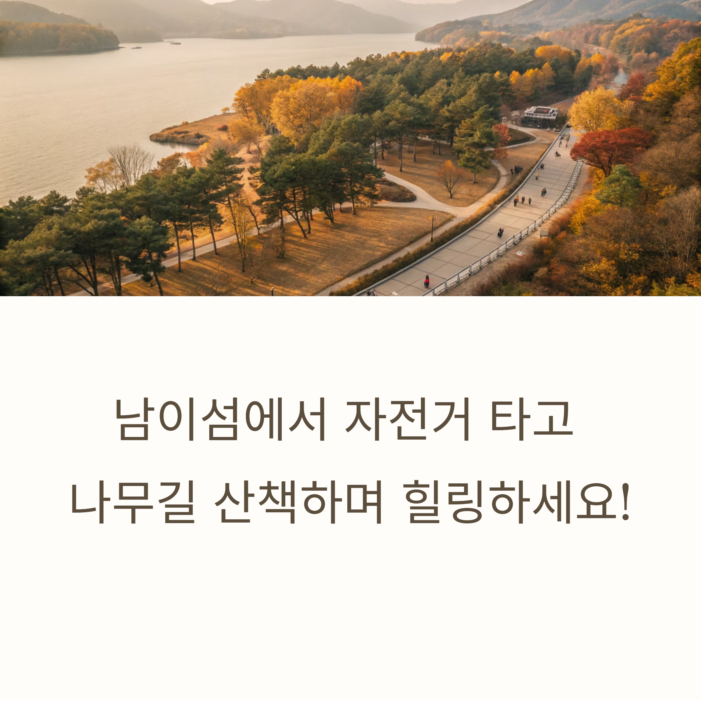 남이섬 자전거 여행과 나무길 산책의 모든 매력