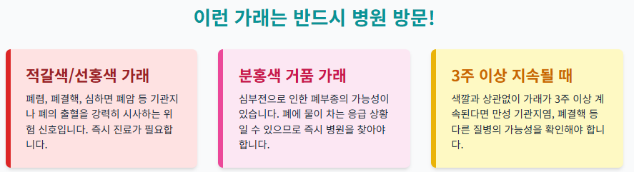 잦은 기침과 가래, 혹시 만성 질환의 신호일까? 증상별 원인과 관리법