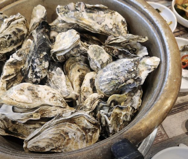 목포 굴찜 무한리필 맛집