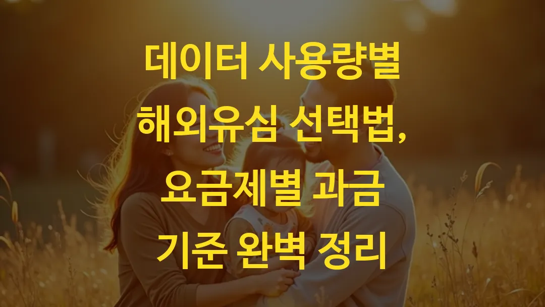데이터 사용량별 해외유심 선택법, 요금제별 과금 기준 완벽 정리