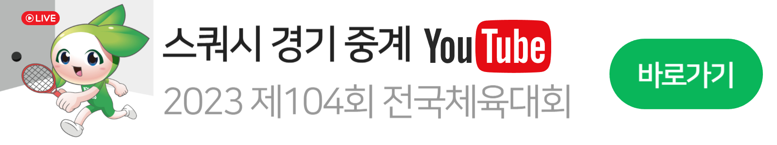 전국체전 스쿼시 마스코트 5