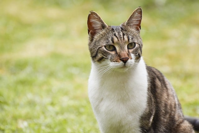 부활절 연휴 여행지 추천과 관련된 사진