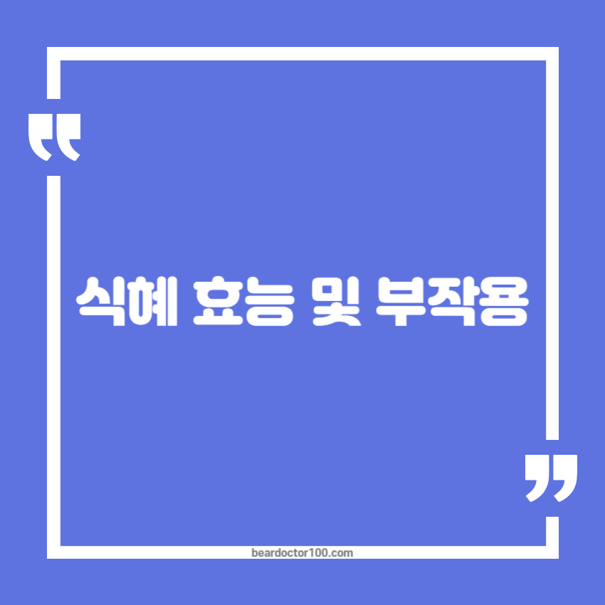 식혜 효능 및 부작용