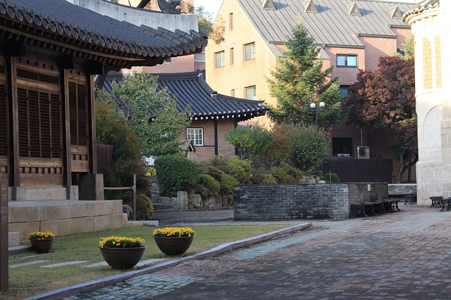 대한민국 모습들