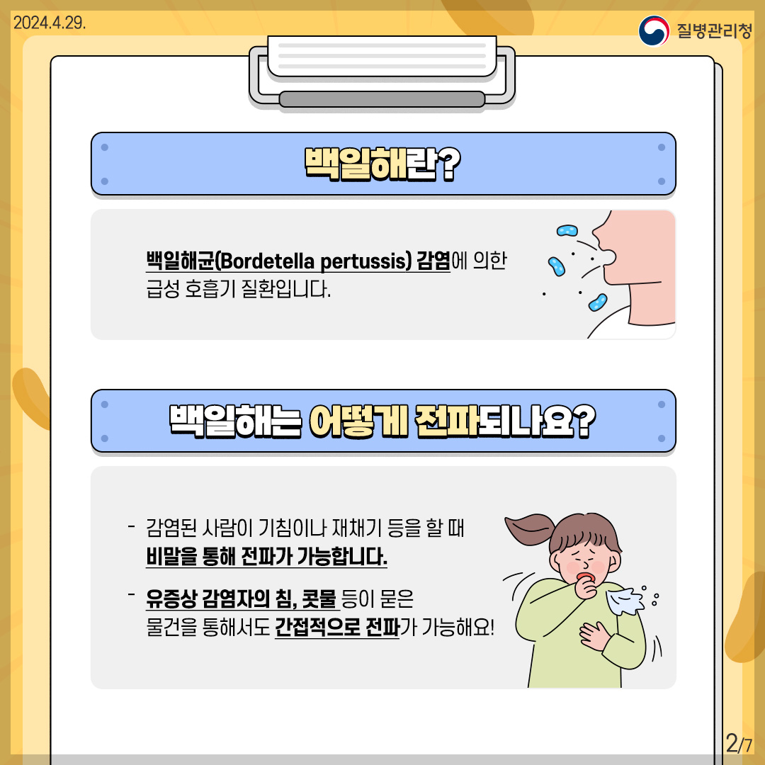 백일해 예방접종 가격
