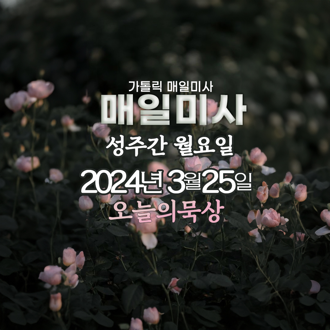 2024년 3월 25일 매일미사 성주간 월요일 오늘의 묵상