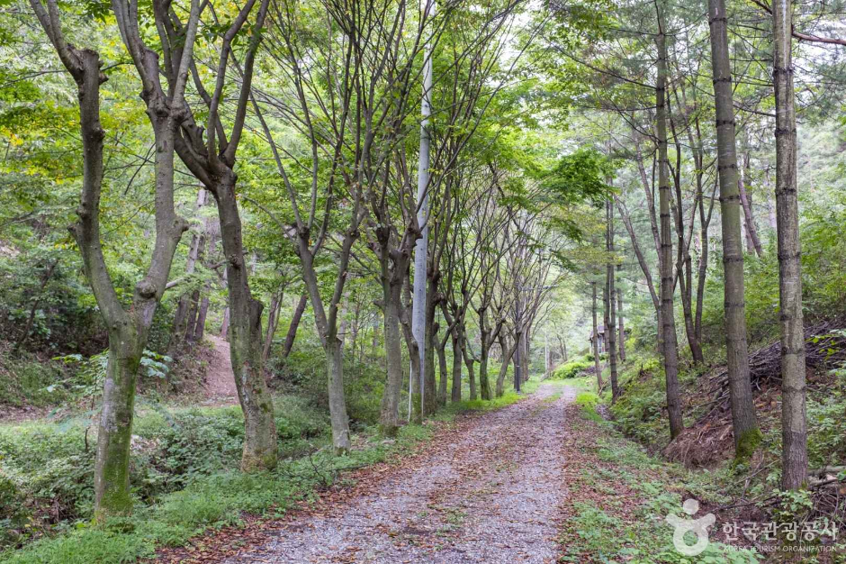 청송 가볼만한곳 베스트10