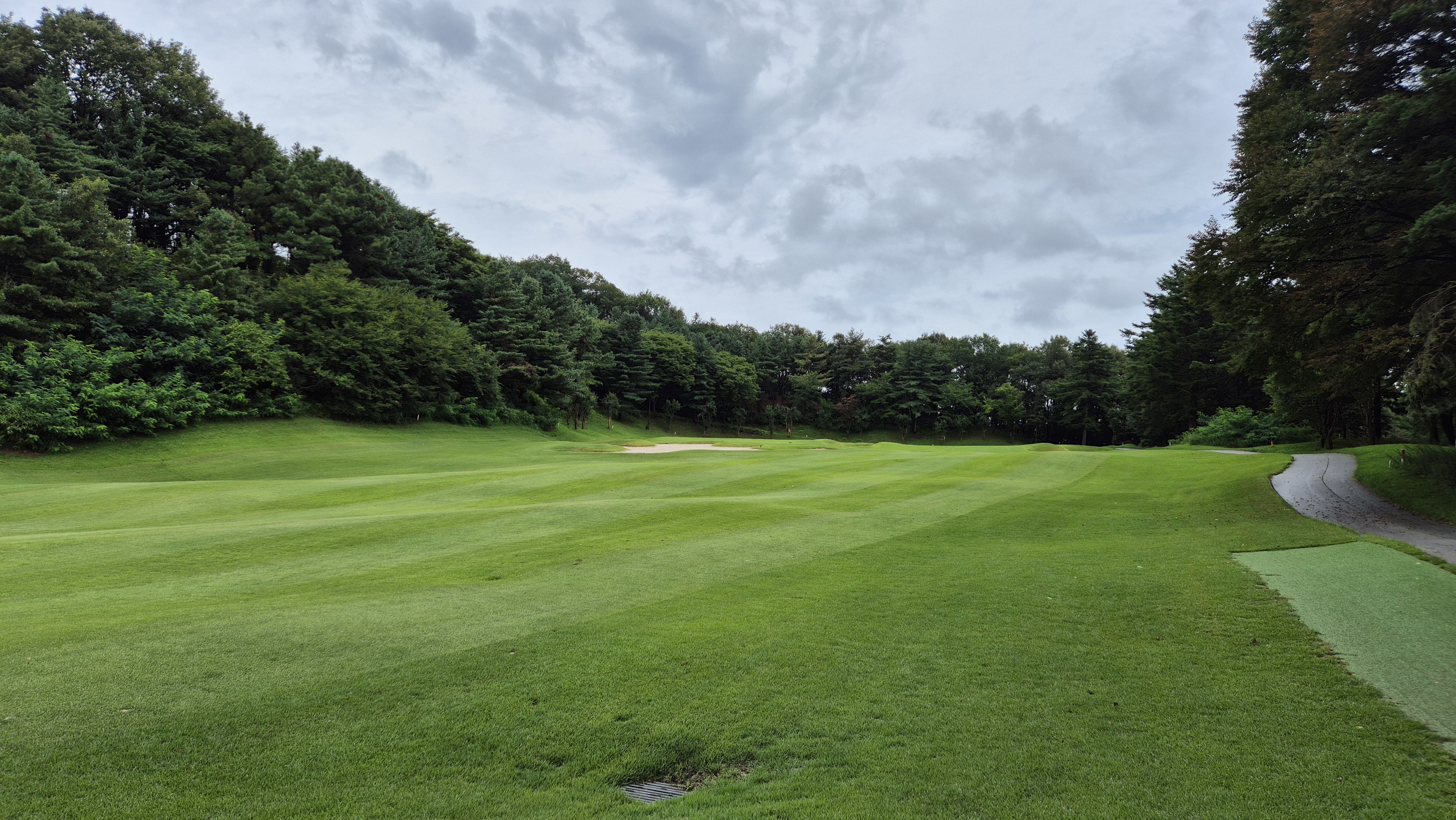 뉴서울cc 예술in-문화in 코스 사진 및 공략 정보