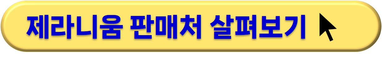 공기정화식물