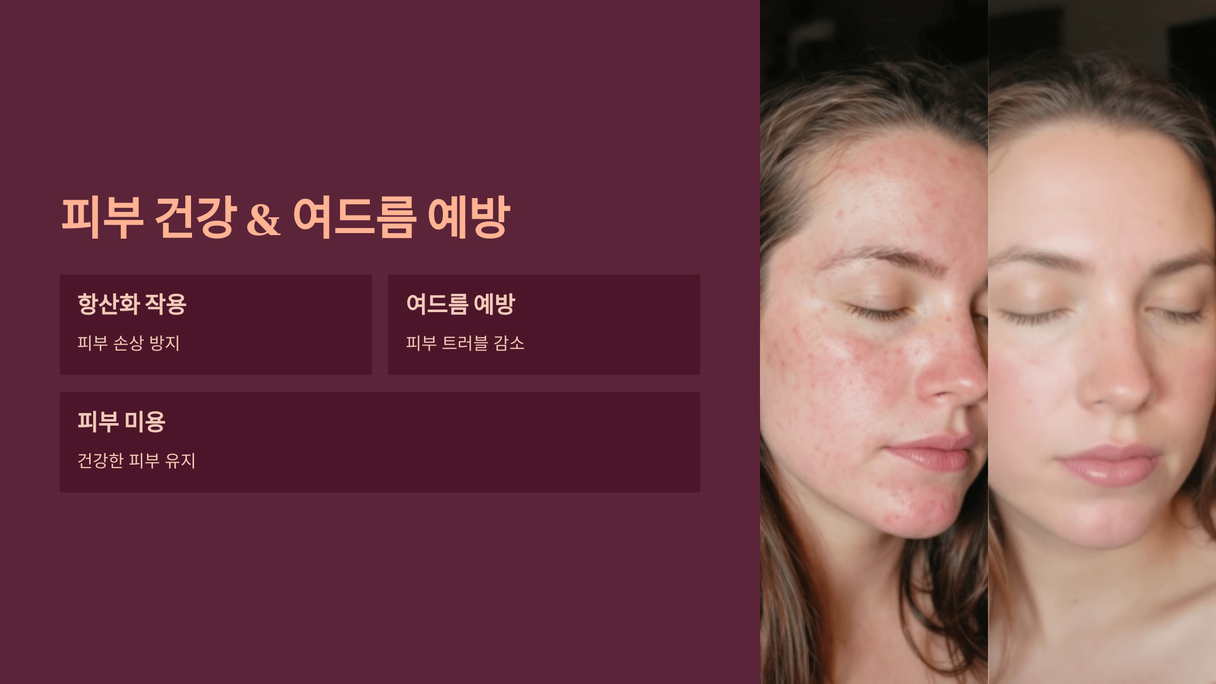 체리 사진입니다.