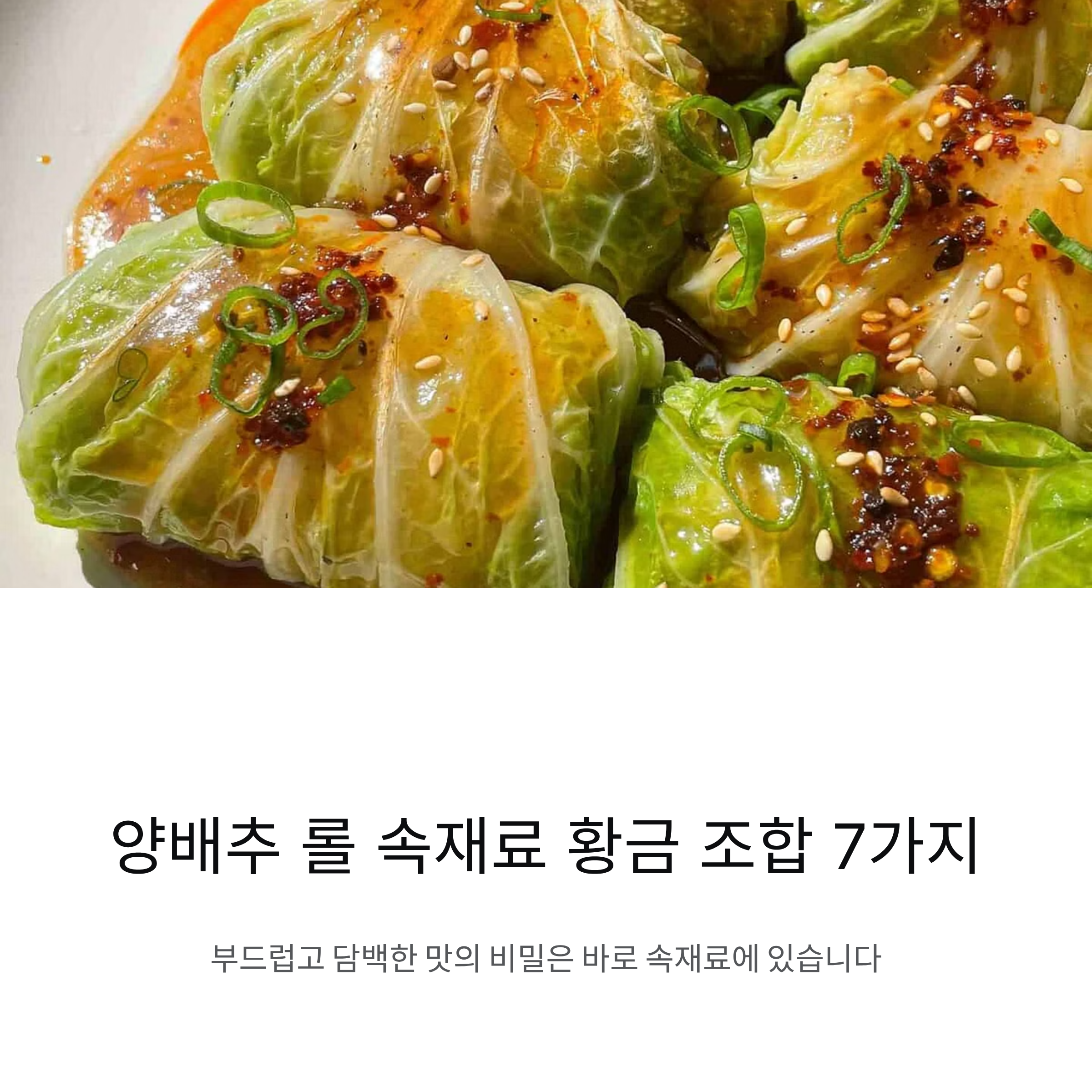 양배추 롤 속재료 추천 베스트 조합