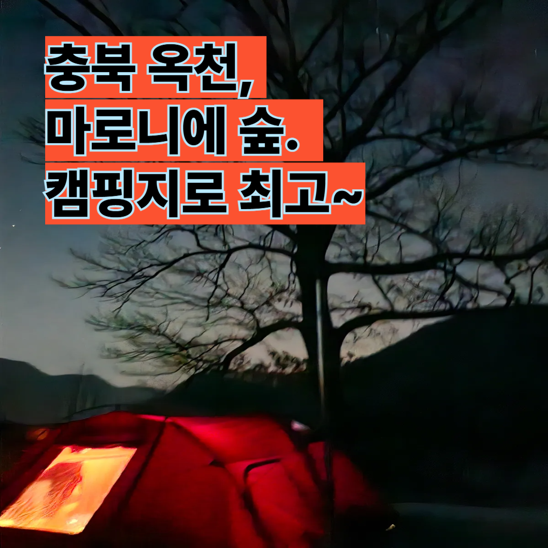 옥천 마로니에 숲 캠핑장