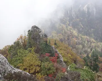 설악산 단풍, 절정 시기_10