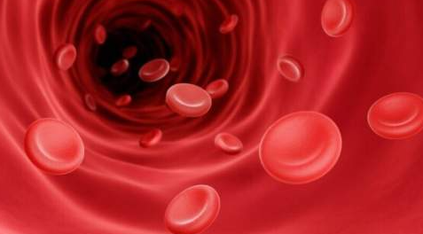 철분 : 1개월 주기로 점검이 필요하다고 함