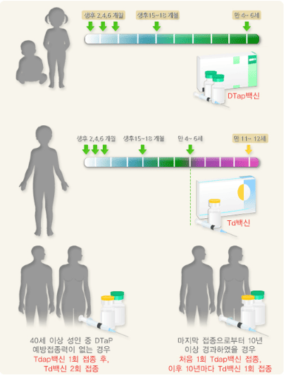 백일해 접종시기 안내