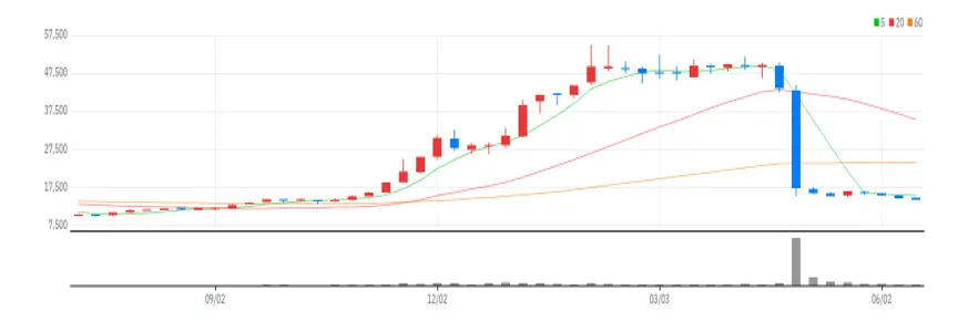 다우데이타 주봉