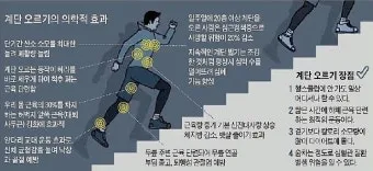 계단오르기 운동 효과 방법 10가지로_18