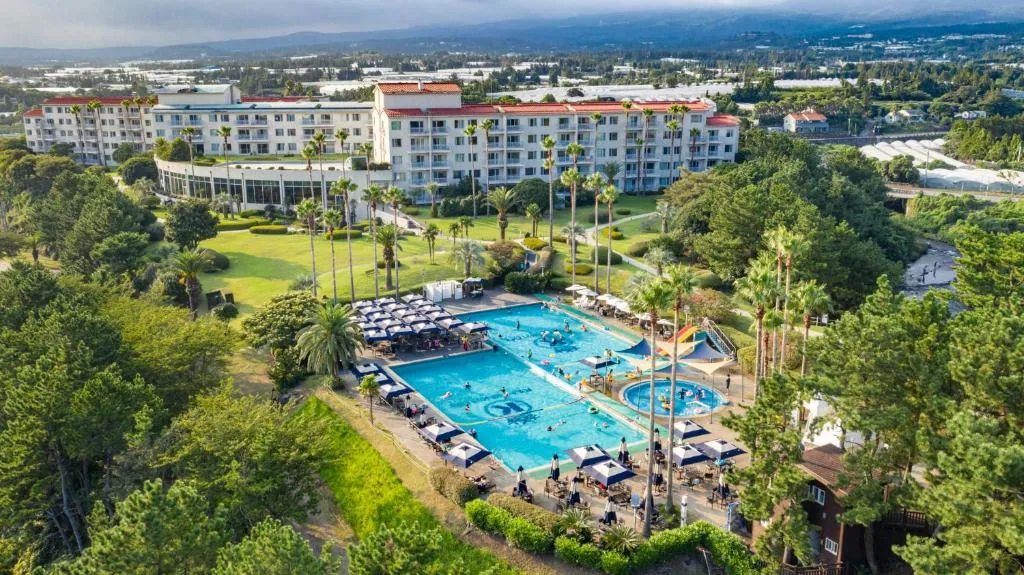 제주 서귀포 카페 추천 디저트 맛집과 뷰 맛집 정리_2