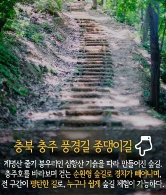 걷기좋은 숲길 50 서울 전남 경북_22