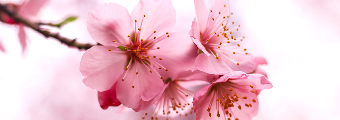 3월국내여행지BEST5