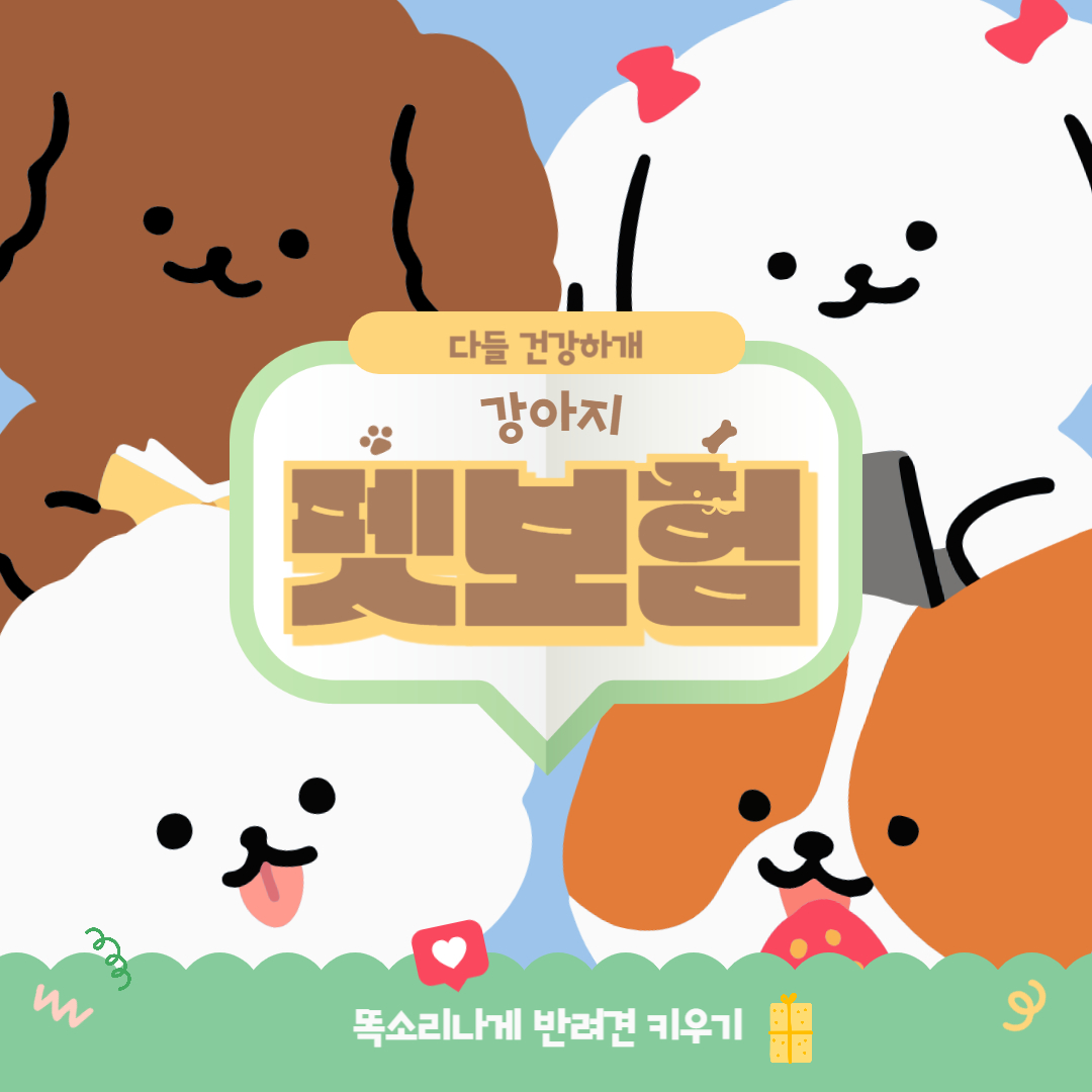 강아지 펫보험