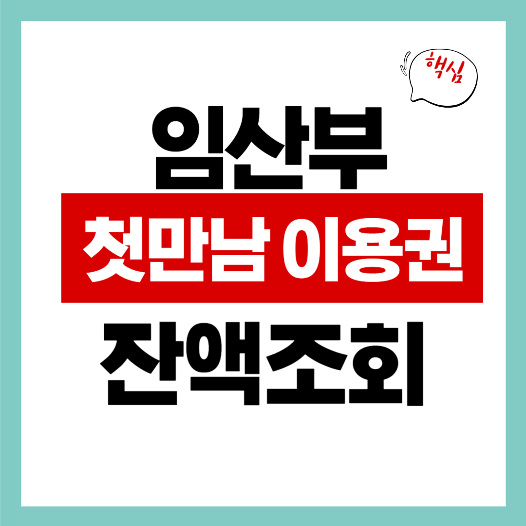 “첫만남이용권 잔액 조회하는 법" 지금 당장 모바일로 바로 확인하자
