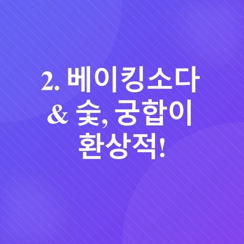 새 가구 냄새 제거_6