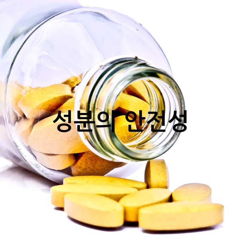 커큐민 흡수율 높인 제품