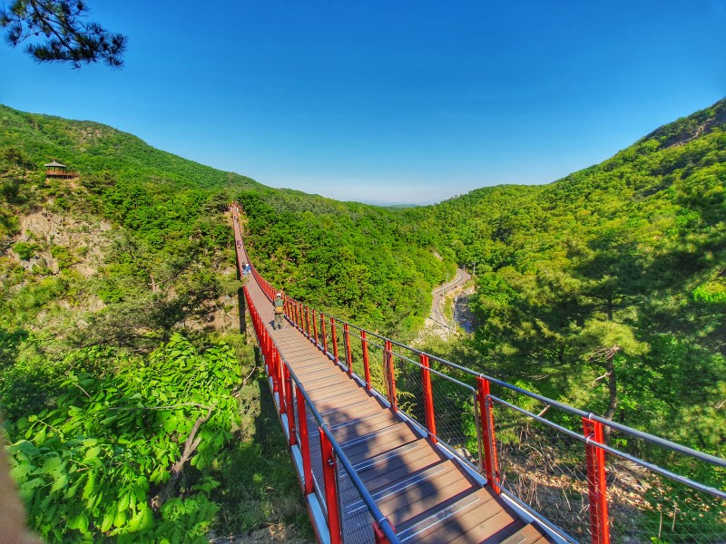 파주 가볼만한곳 