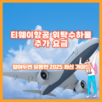 티웨이항공 위탁수하물 추가 요금|알아두면 유용한 2025 최신 가이드