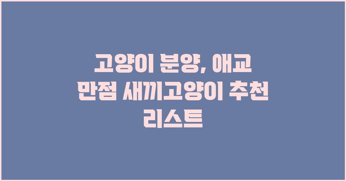 고양이 분양