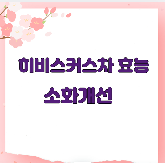 히비스커스차 효능 소화개선