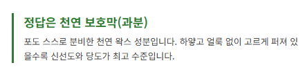 포도 종류