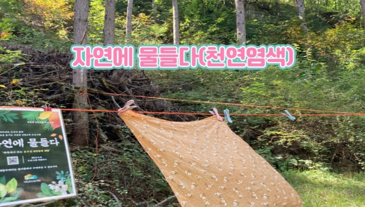 국립 춘천 숲체원