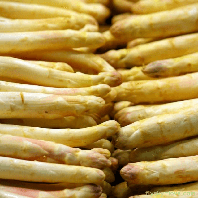 화이트 아스파라거스 효능