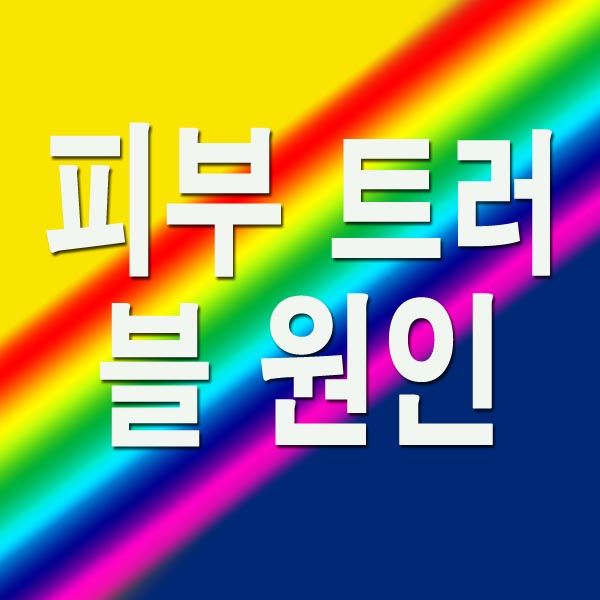 피부 트러블 원인