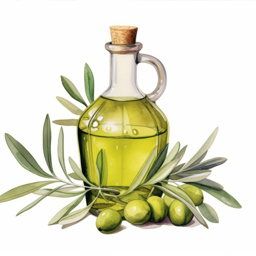 올리브오일효능과부장용