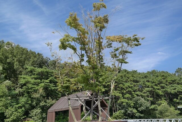 공항철도 요금&amp;#44; 직통과 일반요금 차이 총정리