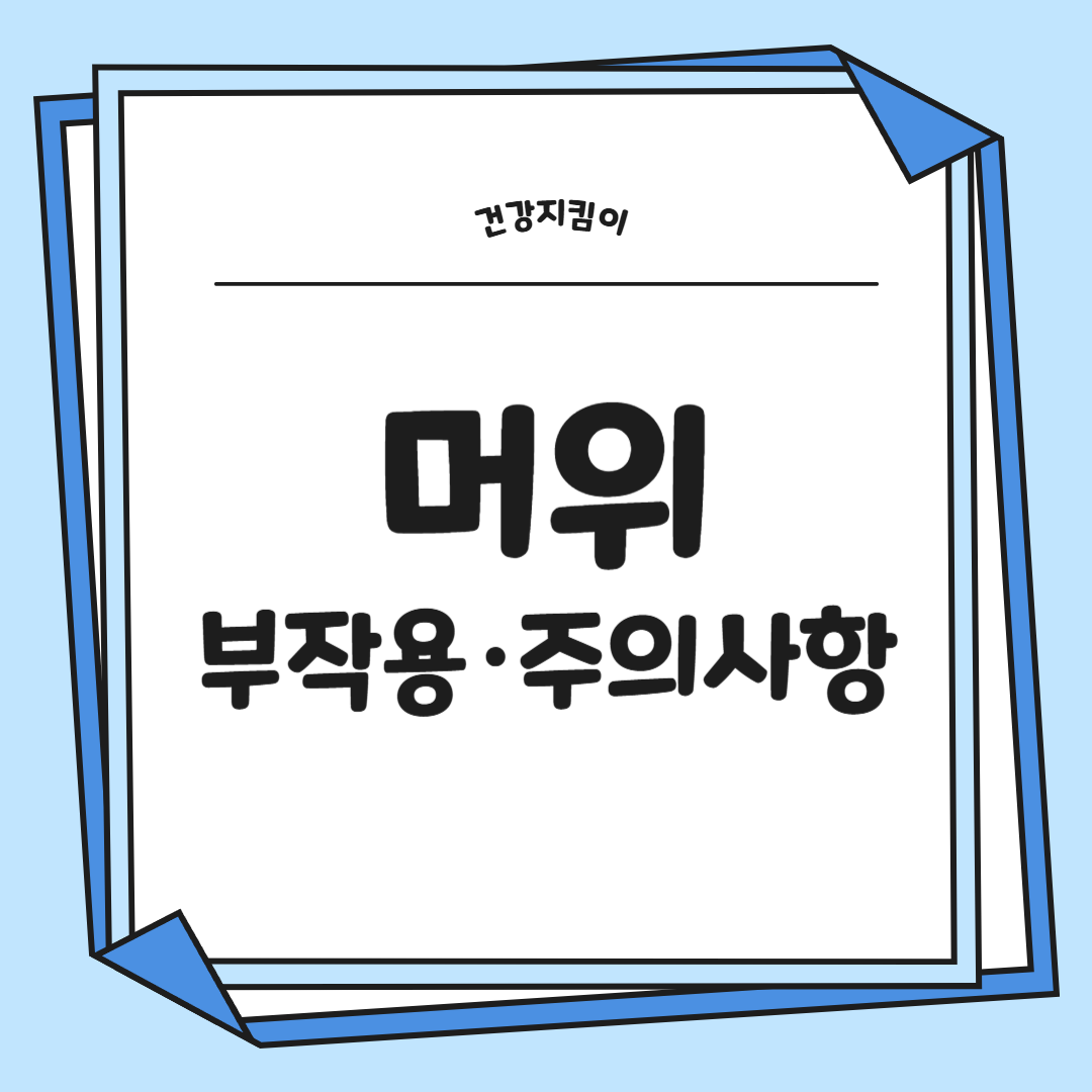 머위 효능과 부작용 고르는법 먹는법 칼로리