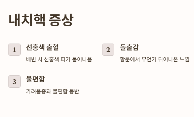 내치핵 증상 (초기에는 통증 없음)
